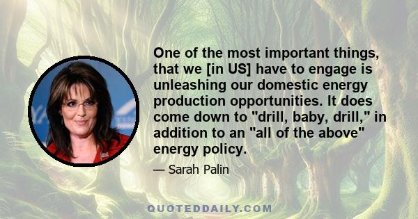 One of the most important things, that we [in US] have to engage is unleashing our domestic energy production opportunities. It does come down to drill, baby, drill, in addition to an all of the above energy policy.