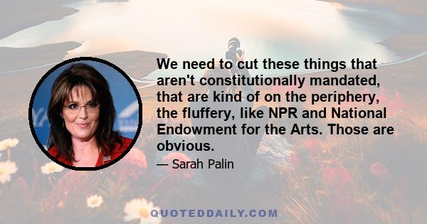 We need to cut these things that aren't constitutionally mandated, that are kind of on the periphery, the fluffery, like NPR and National Endowment for the Arts. Those are obvious.