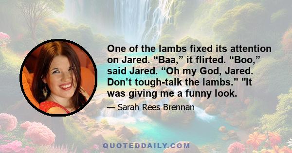 One of the lambs fixed its attention on Jared. “Baa,” it flirted. “Boo,” said Jared. “Oh my God, Jared. Don’t tough-talk the lambs.” It was giving me a funny look.