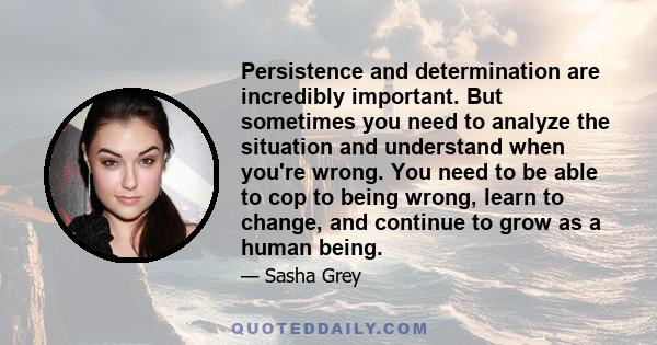 Persistence and determination are incredibly important. But sometimes you need to analyze the situation and understand when you're wrong. You need to be able to cop to being wrong, learn to change, and continue to grow