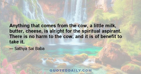 Anything that comes from the cow, a little milk, butter, cheese, is alright for the spiritual aspirant. There is no harm to the cow, and it is of benefit to take it.