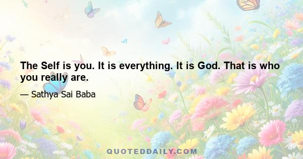 The Self is you. It is everything. It is God. That is who you really are.