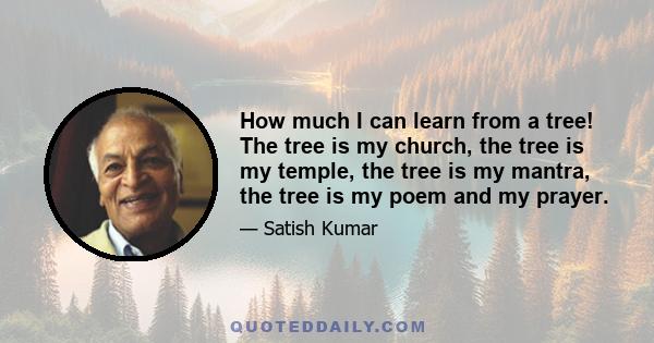 How much I can learn from a tree! The tree is my church, the tree is my temple, the tree is my mantra, the tree is my poem and my prayer.