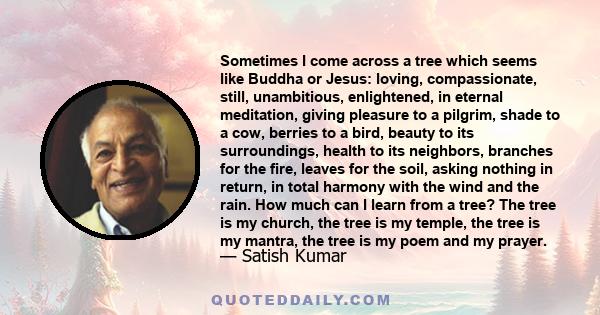 Sometimes I come across a tree which seems like Buddha or Jesus: loving, compassionate, still, unambitious, enlightened, in eternal meditation, giving pleasure to a pilgrim, shade to a cow, berries to a bird, beauty to