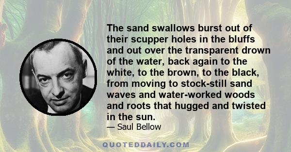 The sand swallows burst out of their scupper holes in the bluffs and out over the transparent drown of the water, back again to the white, to the brown, to the black, from moving to stock-still sand waves and