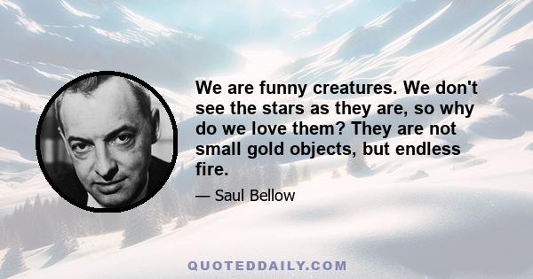 We are funny creatures. We don't see the stars as they are, so why do we love them? They are not small gold objects, but endless fire.