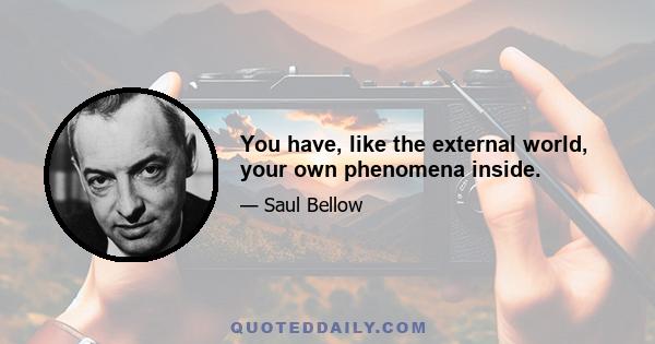 You have, like the external world, your own phenomena inside.