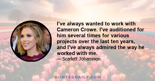 I've always wanted to work with Cameron Crowe. I've auditioned for him several times for various projects over the last ten years, and I've always admired the way he worked with me.