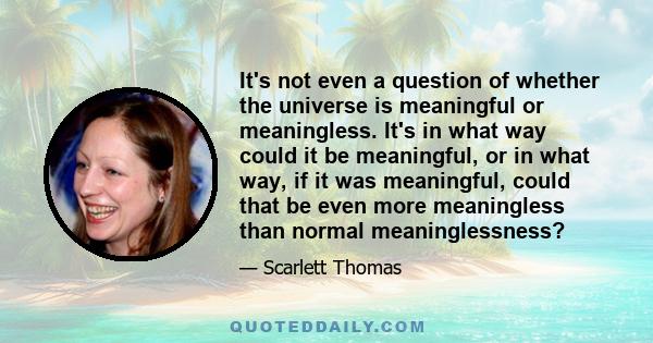 It's not even a question of whether the universe is meaningful or meaningless. It's in what way could it be meaningful, or in what way, if it was meaningful, could that be even more meaningless than normal