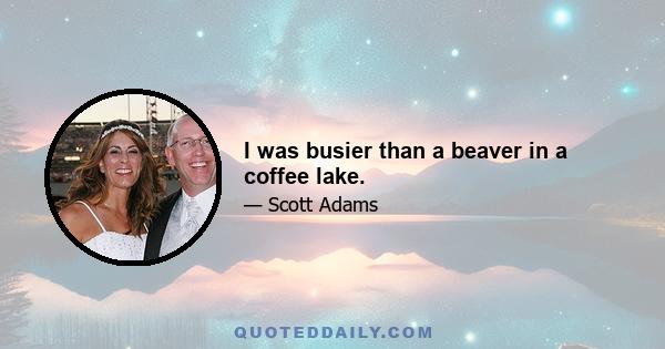 I was busier than a beaver in a coffee lake.