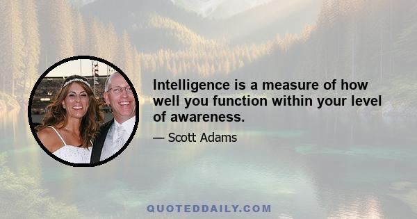 Intelligence is a measure of how well you function within your level of awareness.