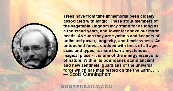 Trees have from time immemorial been closely associated with magic. These stout members of the vegetable kingdom may stand for as long as a thousand years, and tower far above our mortal heads. As such they are symbols