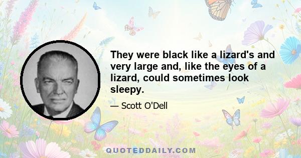 They were black like a lizard's and very large and, like the eyes of a lizard, could sometimes look sleepy.