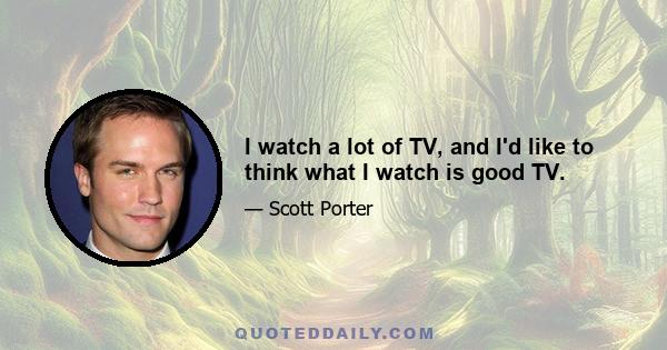 I watch a lot of TV, and I'd like to think what I watch is good TV.