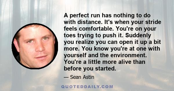 A perfect run has nothing to do with distance. It's when your stride feels comfortable. You're on your toes trying to push it. Suddenly you realize you can open it up a bit more. You know you're at one with yourself and 