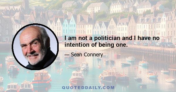 I am not a politician and I have no intention of being one.