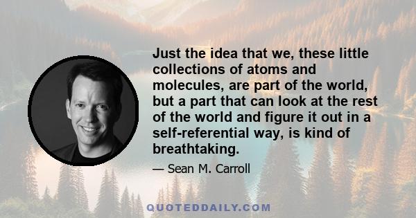 Just the idea that we, these little collections of atoms and molecules, are part of the world, but a part that can look at the rest of the world and figure it out in a self-referential way, is kind of breathtaking.