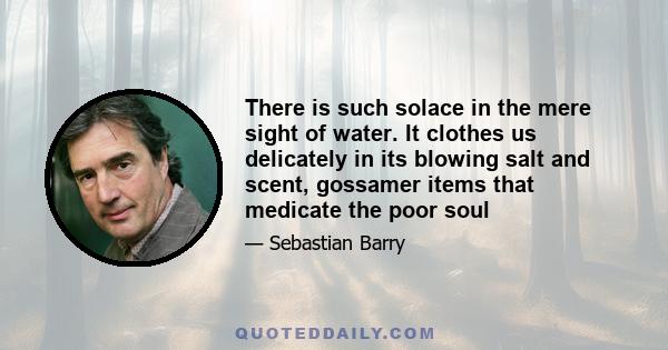 There is such solace in the mere sight of water. It clothes us delicately in its blowing salt and scent, gossamer items that medicate the poor soul