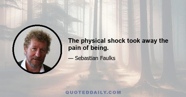 The physical shock took away the pain of being.