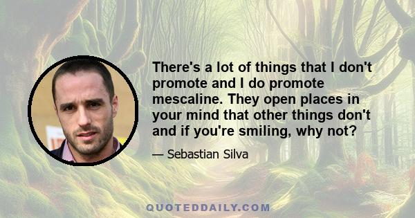 There's a lot of things that I don't promote and I do promote mescaline. They open places in your mind that other things don't and if you're smiling, why not?