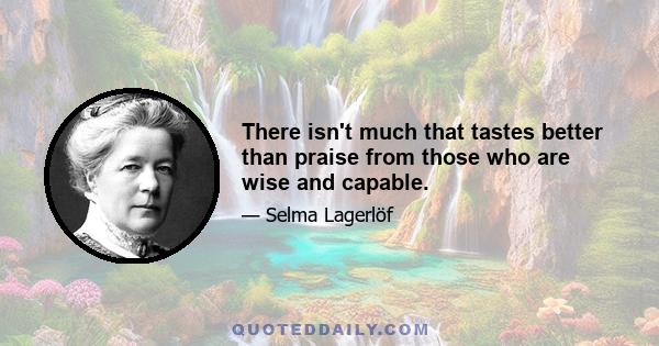 There isn't much that tastes better than praise from those who are wise and capable.