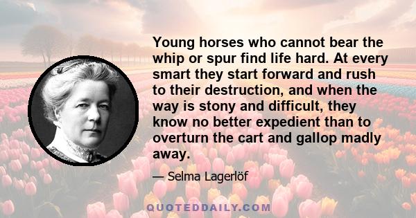 Young horses who cannot bear the whip or spur find life hard. At every smart they start forward and rush to their destruction, and when the way is stony and difficult, they know no better expedient than to overturn the