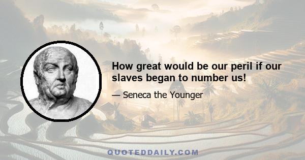 How great would be our peril if our slaves began to number us!