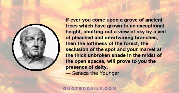 If ever you come upon a grove of ancient trees which have grown to an exceptional height, shutting out a view of sky by a veil of pleached and intertwining branches, then the loftiness of the forest, the seclusion of