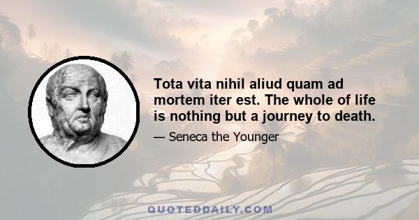 Tota vita nihil aliud quam ad mortem iter est. The whole of life is nothing but a journey to death.