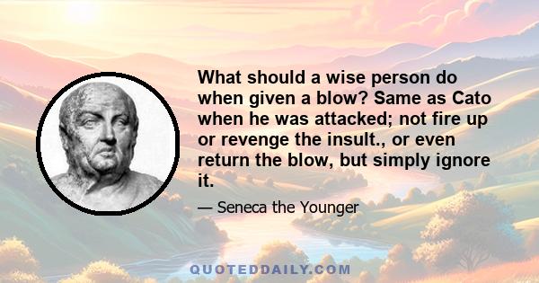 What should a wise person do when given a blow? Same as Cato when he was attacked; not fire up or revenge the insult., or even return the blow, but simply ignore it.