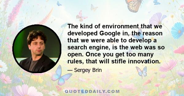 The kind of environment that we developed Google in, the reason that we were able to develop a search engine, is the web was so open. Once you get too many rules, that will stifle innovation.