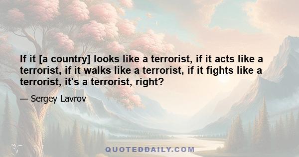 If it [a country] looks like a terrorist, if it acts like a terrorist, if it walks like a terrorist, if it fights like a terrorist, it's a terrorist, right?