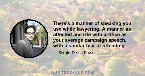 There's a manner of speaking you use while lawyering. A manner as affected and rife with artifice as your average campaign speech, with a similar fear of offending.