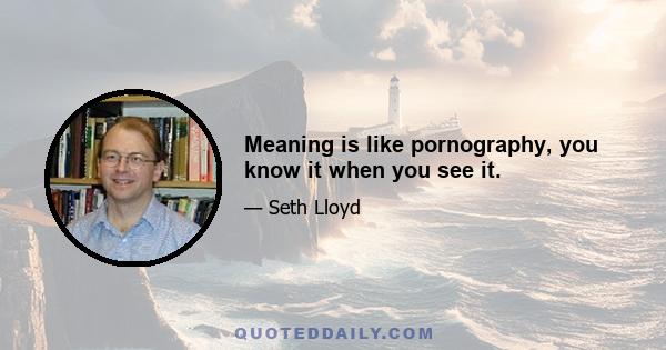 Meaning is like pornography, you know it when you see it.