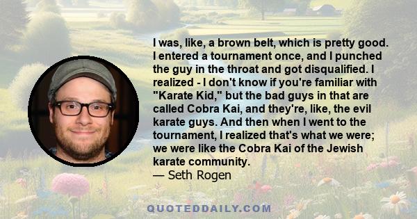 I was, like, a brown belt, which is pretty good. I entered a tournament once, and I punched the guy in the throat and got disqualified. I realized - I don't know if you're familiar with Karate Kid, but the bad guys in