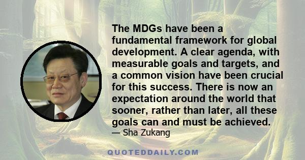 The MDGs have been a fundamental framework for global development. A clear agenda, with measurable goals and targets, and a common vision have been crucial for this success. There is now an expectation around the world