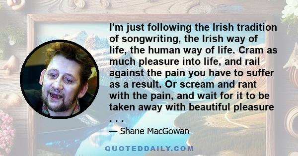 I'm just following the Irish tradition of songwriting, the Irish way of life, the human way of life. Cram as much pleasure into life, and rail against the pain you have to suffer as a result. Or scream and rant with the 