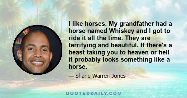 I like horses. My grandfather had a horse named Whiskey and I got to ride it all the time. They are terrifying and beautiful. If there's a beast taking you to heaven or hell it probably looks something like a horse.