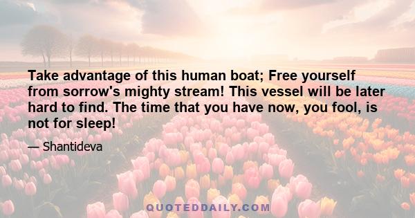 Take advantage of this human boat; Free yourself from sorrow's mighty stream! This vessel will be later hard to find. The time that you have now, you fool, is not for sleep!