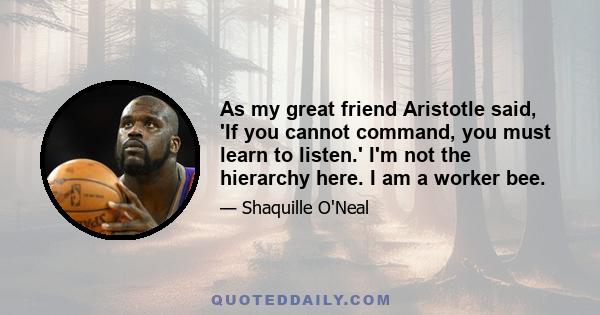 As my great friend Aristotle said, 'If you cannot command, you must learn to listen.' I'm not the hierarchy here. I am a worker bee.