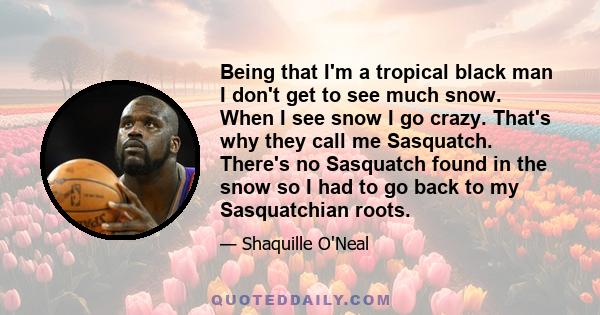 Being that I'm a tropical black man I don't get to see much snow. When I see snow I go crazy. That's why they call me Sasquatch. There's no Sasquatch found in the snow so I had to go back to my Sasquatchian roots.