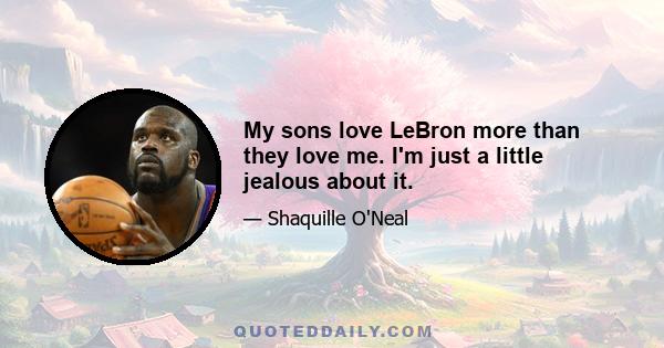 My sons love LeBron more than they love me. I'm just a little jealous about it.