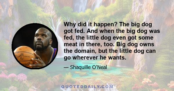 Why did it happen? The big dog got fed. And when the big dog was fed, the little dog even got some meat in there, too. Big dog owns the domain, but the little dog can go wherever he wants.