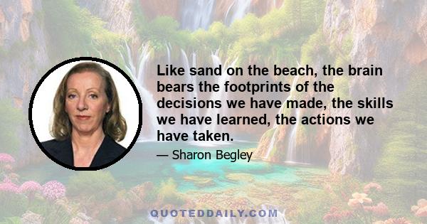 Like sand on the beach, the brain bears the footprints of the decisions we have made, the skills we have learned, the actions we have taken.