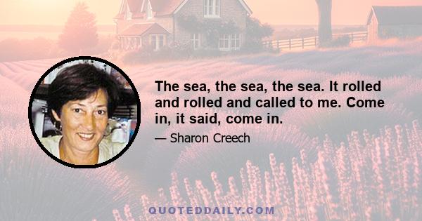 The sea, the sea, the sea. It rolled and rolled and called to me. Come in, it said, come in.