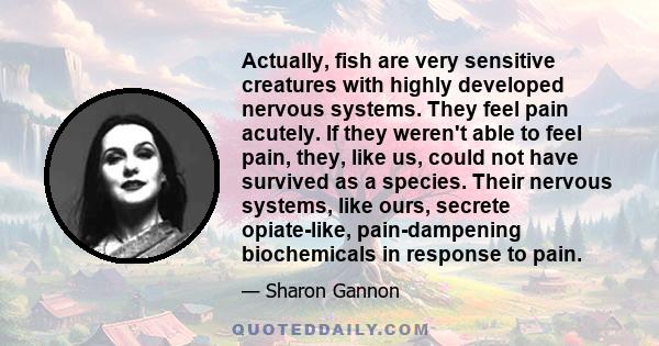 Actually, fish are very sensitive creatures with highly developed nervous systems. They feel pain acutely. If they weren't able to feel pain, they, like us, could not have survived as a species. Their nervous systems,