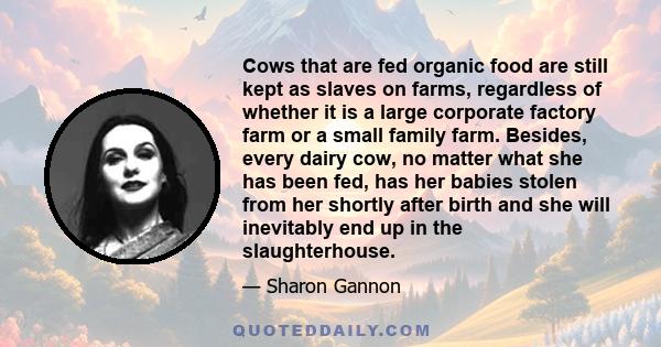 Cows that are fed organic food are still kept as slaves on farms, regardless of whether it is a large corporate factory farm or a small family farm. Besides, every dairy cow, no matter what she has been fed, has her