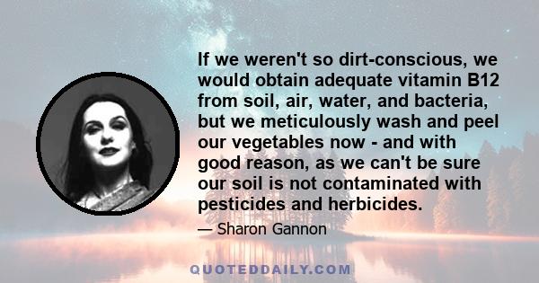 If we weren't so dirt-conscious, we would obtain adequate vitamin B12 from soil, air, water, and bacteria, but we meticulously wash and peel our vegetables now - and with good reason, as we can't be sure our soil is not 