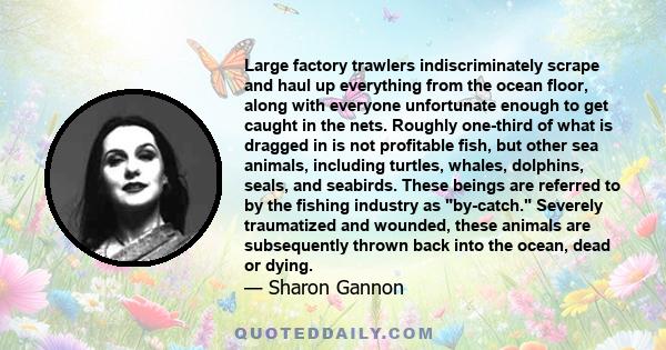 Large factory trawlers indiscriminately scrape and haul up everything from the ocean floor, along with everyone unfortunate enough to get caught in the nets. Roughly one-third of what is dragged in is not profitable