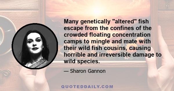 Many genetically altered fish escape from the confines of the crowded floating concentration camps to mingle and mate with their wild fish cousins, causing horrible and irreversible damage to wild species.